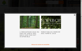 forestiere-cdc.fr website preview