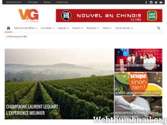 vinsetgastronomie.com website preview