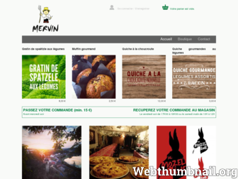 mervin.fr website preview