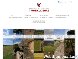 fft-truffes.fr website preview