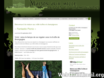 mille-truffes-champignons.com website preview