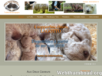 truffes-de-bourgogne.fr website preview