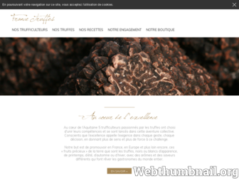 france-truffes.com website preview