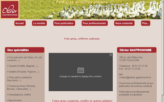 olivier-gastronomie.fr website preview