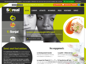 soreal.fr website preview