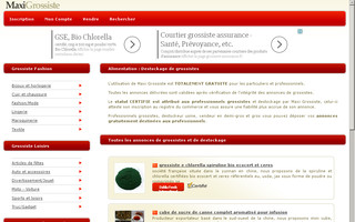 alimentation.maxigrossiste.fr website preview