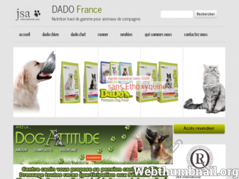 dado-france.fr website preview