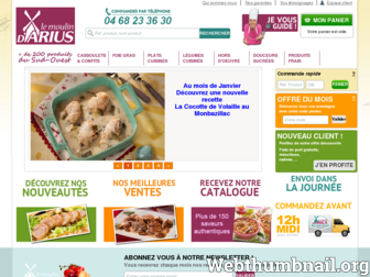 gastronomie-enligne.info website preview