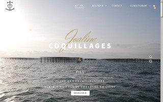 joalinecoquillages.fr website preview