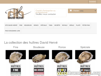 boutique.davidherve.com website preview