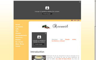 cafe-disanto.be website preview