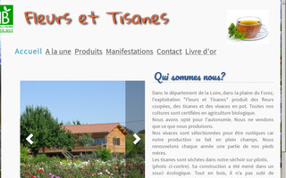 fleurstisanes.fr website preview