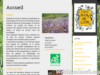 tisanedandelion.fr website preview