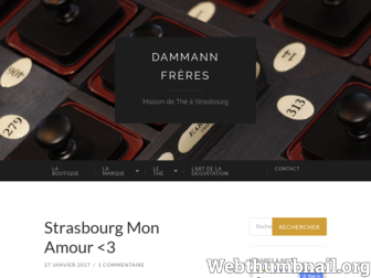 dammannstrasbourg.wordpress.com website preview