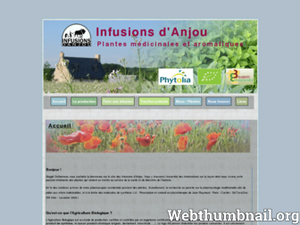 infusionsdanjou.com website preview