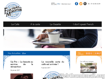 fluctuat-cafe.paris website preview