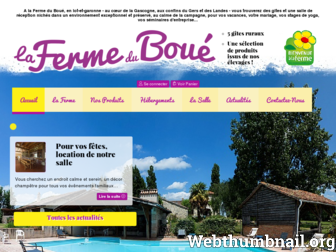 fermeduboue.com website preview