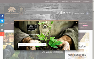 epicerie-gastronomique.com website preview