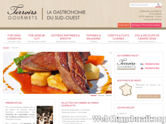 terroirs-gourmets-sudouest.com website preview
