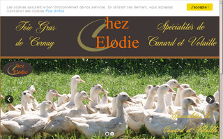 foiegras-chezelodie.com website preview
