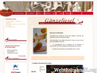 alsacefoiegras.fr website preview