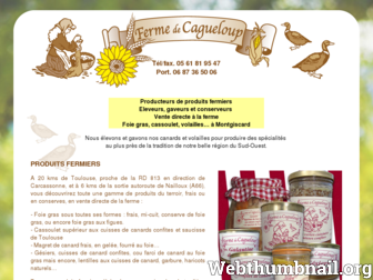 ferme-cagueloup.com website preview