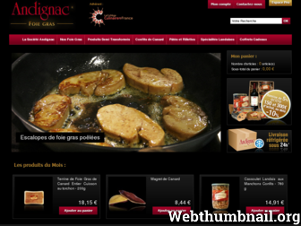 andignac-foiegras.com website preview
