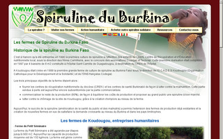 spirulineburkina.org website preview