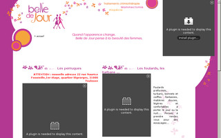 boutiquebelledejour.fr website preview