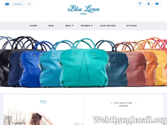 bluelemonparis.com website preview