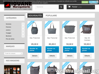 iguane-maroquinerie.fr website preview