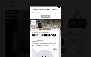hexagona.com website preview