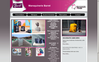 barretmaroquinerie.fr website preview