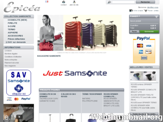 sav-samsonite.fr website preview