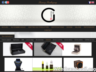 packing91.ch website preview