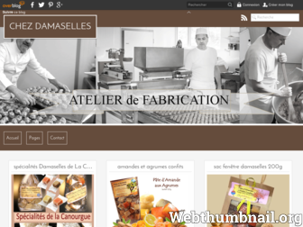 chez-damaselles.over-blog.com website preview