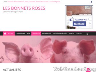 bonnetsroses.fr website preview