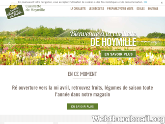 cueillettedehoymille.fr website preview