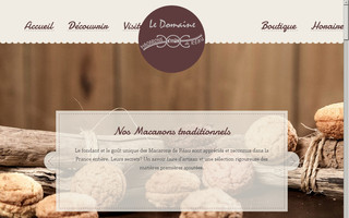 macarons-de-reau.com website preview