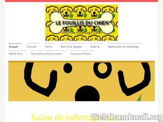 lefouillisduchien.fr website preview