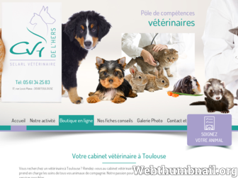 veterinaire-toulouse.com website preview