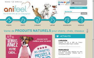 anifeel.fr website preview