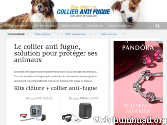 collier-anti-fugue.com website preview