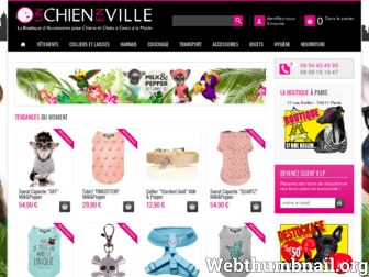 unchienenville.com website preview