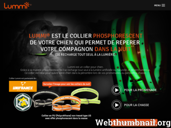 collier-lummi.com website preview