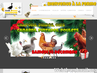 ferme-avicole-bauduin.fr website preview