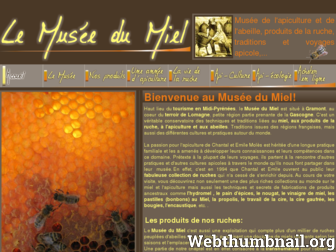 musee-du-miel.com website preview