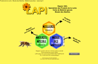 lapi.fr website preview