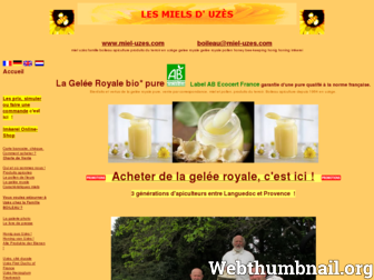 miel-uzes.com website preview