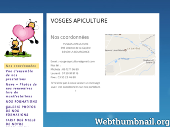 vosgesapiculture.fr website preview